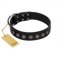 "Silent Star" Handmade FDT Artisan Designer Black Leather Sharpei Collar with Engraved Plates