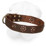 'Spring Melody' Leather Shar Pei Everyday Collar