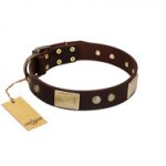 "Middle Age" FDT Artisan Brown Leather Sharpei Collar with Old Bronze-Plated Engraved Flowers and Large Plates