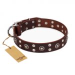 "Pirate Treasure" FDT Artisan Exciting Brown Leather Sharpei Collar with Studs