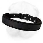 Padded Shar-Pei Collar for Agitation Training (2.5 cm)