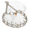 Shar Pei Prong Collar for Behavior Correction, 1/11 inch (2.25 mm) Prong Diameter