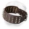 Extra Wide Shar Pei Collar with Glittering Spikes
