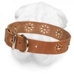Leather Shar-Pei Collar with Flower Decoration