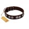 "High and Mighty" FDT Artisan Classy Brown Leather Sharpei Collar with Embellished Brooches