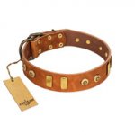 "Egyptian Script" FDT Artisan Tan Leather Sharpei Collar with Plates and Small Studs
