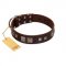 "Object of Virtu" FDT Artisan Brown Leather Sharpei Collar with Old Silver-like Square Studs and Pyramids