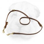 Genuine Leather Multifunctional Leash for Shar Pei