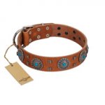 "Blue Sands" FDT Artisan Tan Leather Sharpei Collar with Silver-like Studs and Round Conchos with Stones