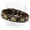 Shar-Pei Collar Decorated with Brass Plates and Nickel Pyramids