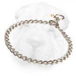 Stainless Steel Shar Pei Choke Collar, 1/9 inch (3 mm) Link Diameter
