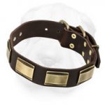Leather Shar-Pei Collar Decorated with Brass Plates