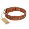 "Natural Beauty" FDT Artisan Tan Leather Sharpei Collar with Shining Silver-like Studs