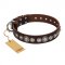 "Step and Sparkle" FDT Artisan Glamorous Studded Brown Leather Sharpei Collar