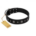 "Mr. Elegance" Designer FDT Artisan Black Leather Sharpei Collar with Silver-Like Studs