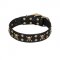 'Jolly Rojer' FDT Artisan Shar Pei Leather Dog Collar with Pirate Skulls and Studs - 1 1/2 inch (40 mm) wide