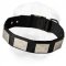 Nylon Shar-Pei Collar with Nickel Plates