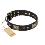 "Jewel Passion" FDT Artisan Fashionable Black Leather Sharpei Collar