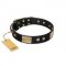 "Antique Gloss" FDT Artisan Black Leather Sharpei Collar with Bronze-like Plates and Small Studs