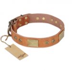 "The Middle Ages" FDT Artisan Handcrafted Tan Leather Sharpei Collar