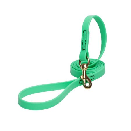 Green Waterproof Sharpei Leash Made of Biothane