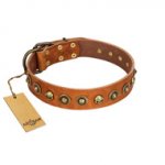 "Prez of the Pack" FDT Artisan Tan Leather Sharpei Collar with Skulls and Brooches