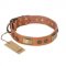 "Lost Desert" FDT Artisan Leather Sharpei Collar with Brass Decorations