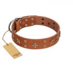 "Dreamy Gleam" FDT Artisan Tan Leather Sharpei Collar Adorned with Stars and Squares