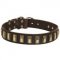Stylish Shar Pei Collar with Slim Brass Plates