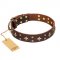 'High Fashion' FDT Artisan Embellished Brown Leather Sharpei Collar