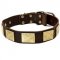 Stylish Shar Pei Collar with Brass Plates