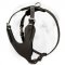 Durable Leather Harness with Y-shaped Chest Plate for Training and Walking