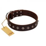 "Boundless Energy" Premium Quality FDT Artisan Brown Designer Leather Sharpei Collar with Small Pyramids