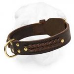 Extra Wide Strong Shar Pei Leather Collar with Fur Protecting Plate