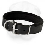 Padded Shar-Pei Collar for Agitation Training and Everyday Walking (Wide)