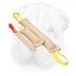Set of Jute Bite Tugs for Shar Pei