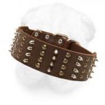 Extra Wide Shar Pei Leather Collar with Spikes and Studs Arranged in Alternate Columns