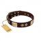 "Sense of Freedom" FDT Artisan Brown Leather Sharpei Collar with Old Bronze-Plated Studs and Plates