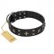 "Star Excitement" Modern FDT Artisan Black Leather Sharpei Collar with Studs and Stars