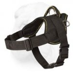 All Weather Functional Nylon Harness for Shar Pei Breed