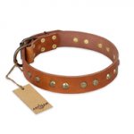 "Spring Flavor" FDT Artisan Adorned Leather Sharpei Collar with Old Bronze-Plated Engraved Studs