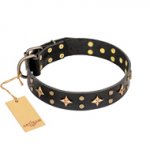 'A La Mode' FDT Artisan Handmade Black Leather Shar Pei Collar