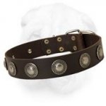 Exquisite Wide Leather Collar with Royal Silver Plated Ornament for Shar Pei