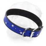 Stars Painted Extra Wide Shar Pei Leather Collar