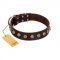 "Gape Buster" FDT Artisan Brown Leather Sharpei Collar with One Row of Studs