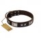 "Satin Beauts" FDT Artisan Brown Leather Sharpei Collar with Stars and Plates