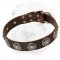 Wide Leather Collar with Silver Plated Blue Stones Decorated Conchos for Shar Pei