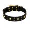 FDT Artisan 'Heavy Metal' Leather Shar Pei Collar with Skulls and Studs 1 1/2 inch (40 mm)