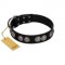 "Magic Amulete" Handcrafted FDT Artisan Black Leather Sharpei Collar with Chrome-Plated Shields