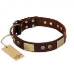 "Shining Armour" FDT Artisan Brown Leather Sharpei Collar with Decorations